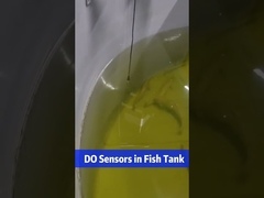 Online Water Dissolved Oxygen Sensor Ip68 Modbus Protocol Fluorescent Material