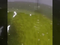 Sensor Oksigen Terlarut Optik Online Sensor Optik Oksigen Rs485